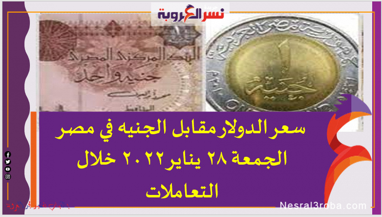 سعر الدولار اليوم في مصر الجمعة 28 يناير 2022