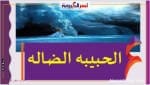 الحبيبه الضاله