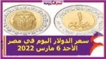 سعر الدولار اليوم في مصر الأحد 6 مارس 2022 خلال التعاملات