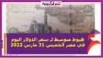 هبوط متوسط لـ سعر الدولار اليوم في مصر الخميس 31 مارس 2022