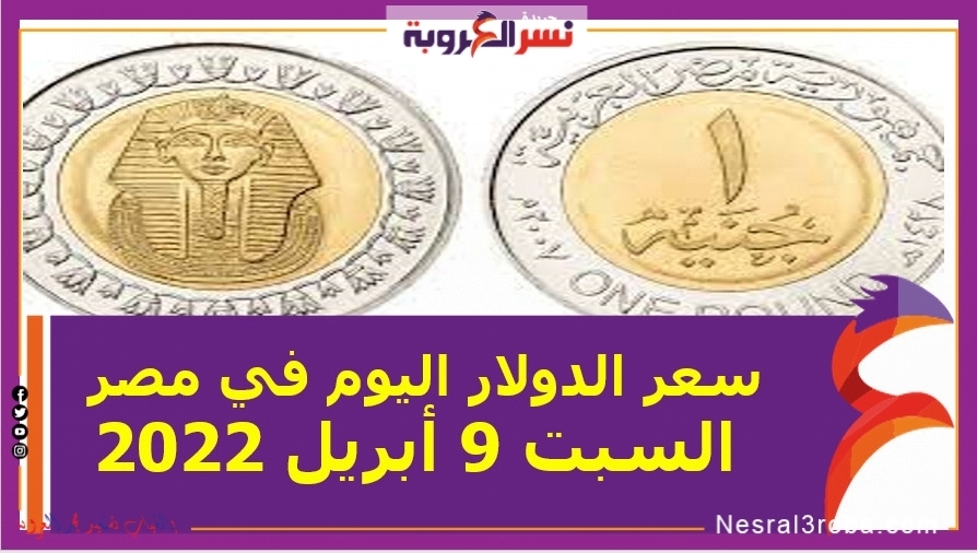 سعر الدولار اليوم في مصر السبت 9 أبريل 2022 خلال التعاملات