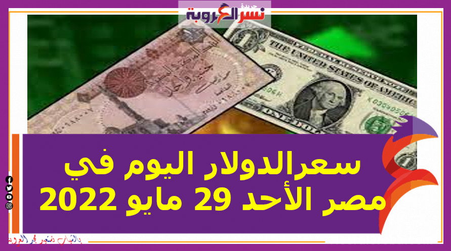 الدولار اليوم في مصر الأحد 29 مايو 2022 لدى البنك المركزي والبنوك الحكومية والخاصة