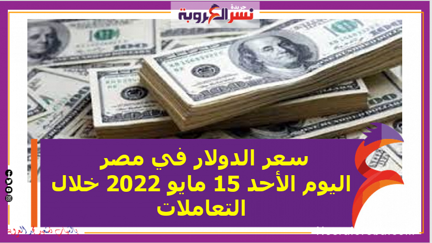 سعر الدولار في مصر اليوم الأحد 15 مايو 2022 خلال التعاملات