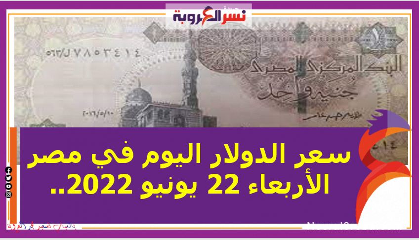 سعر الدولار اليوم في مصر الأربعاء 22 يونيو 2022. لدى البنوك وشركات الصرافة.