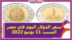 سعر الدولار اليوم في مصر السبت 11 يونيو 2022.. خلال التعاملات