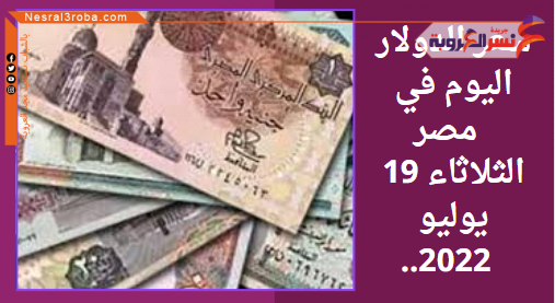 سعر الدولار اليوم في مصر الثلاثاء 19 يوليو 2022.. داخل البنوك الحكومية والخاصة.