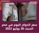 سعر الدولار اليوم في مصر السبت 30 يوليو 2022.. لدى البنوك