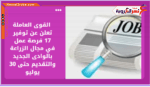 القوى العاملة.. 17 فرصة عمل في مجال الزراعة بالوادى الجديد والتقديم حتى 30 يوليو
