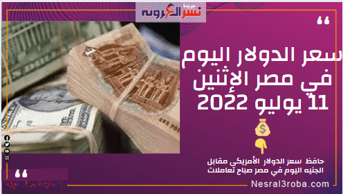 سعر الدولار اليوم في مصر الإثنين 11 يوليو 2022.. وسط تعاملات محدودة.