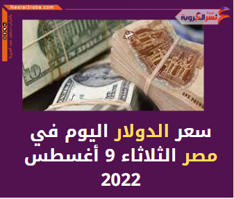 سعر الدولار اليوم في مصر الثلاثاء 9 أغسطس 2022..لدى البنك المركزي والبنوك