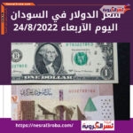 سعر الدولار اليوم في السودان الأربعاء 24 أغسطس 2022.. لدى البنوك والمصارف