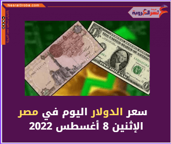 سعر الدولار اليوم في مصر الإثنين 8 أغسطس 2022.. لدى البنك المركزي والبنوك الحكومية والخاصة.