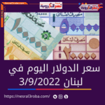 سعر الدولار اليوم في لبنان السبت 3 سبتمبر 2022.. لدى السوق الموازية غير الرسمية