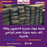 ضبط مواد مخدرة 14 مليون و700 ألف جنيه بحوزة عنصر إجرامى بالجيزة