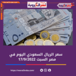 سعر الريال السعودي اليوم في مصر السبت 17 سبتمبر 2022.. لدى البنك المركزي والبنوك الخاصة