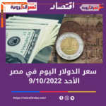سعر الدولار اليوم في مصر الأحد 9 أكتوبر 2022..داخل البنك المركزى