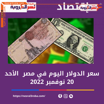 سعر صرف الدولار اليوم الأحد 20 نوفمبر 2022 داخل البنوك المصرية