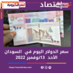 سعر صرف الدولار اليوم داخل السودان.. اليوم الأحد 13 نوفمبر 2022