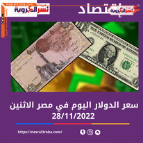 سعر الدولار اليوم في مصر الإثنين 28 نوفمبر 2022.. خلال التداول