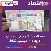 سعر الدولار اليوم في السودان الأربعاء 14 ديسمبر 2022.. الجنيه في هدوء