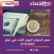 سعر الدولار اليوم في مصر الأحد 4 ديسمبر 2022.. استقرار بغالبية البنوك التجارية