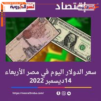 سعر الدولار اليوم في مصر الأربعاء 14 ديسمبر 2022..وفقا لبيانات البنك المركزي المصري