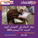 سعر عملة الدولار اليوم في السودان السبت 17 ديسمبر 2022.. هدوء غير مستقر