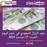 سعر الريال السعودي اليوم في مصر السبت 17 ديسمبر 2022.. استقرار مذبذب