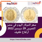سعر الدولار اليوم في مصر الخميس 29 ديسمبر 2022.. أرتفاع طفيف
