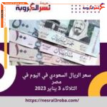 سعر الريال السعودي واليورو الأوروبي اليوم في مصر الثلاثاء 3 يناير 2023