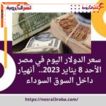 سعر الدولار اليوم في مصر الأحد 8 يناير 2023.. أنهيار داخل السوق السوداء