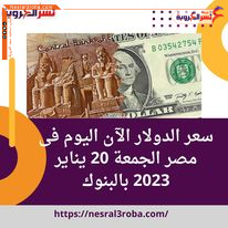 سعر الدولار الآن اليوم فى مصر الجمعة 20 يناير 2023 بالبنوك