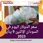 سعر الدولار اليوم في السودان الإثنين 9 يناير 2023.. هدوء للجنيه