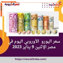 سعر اليورو الريال السعودى اليوم في مصر الإثنين 9 يناير 2023.. في البنوك التجارية