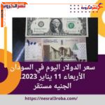 سعر الدولار اليوم في السودان الأربعاء 11 يناير 2023.. الجنيه مستقر