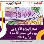 سعر اليورو و الجنيه الاسترليني اليوم في مصر الأحد 1 يناير 2023.. تباين طفيف