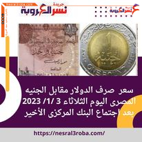 سعر صرف الدولار مقابل الجنيه المصرى اليوم الثلاثاء 3 /1/ 2023