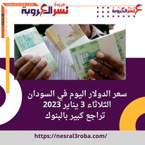 سعر الدولار اليوم في السودان الثلاثاء 3 يناير 2023.. تراجع كبير بالبنوك