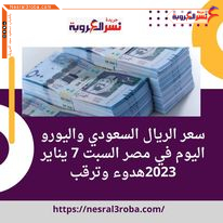 سعر الريال السعودي واليورو اليوم في مصر السبت 7 يناير 2023.. هدوء وترقب