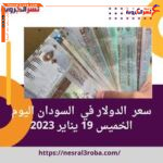 سعر الدولار في السودان اليوم الخميس 19 يناير 2023 هبوط داخل السوق السوداء