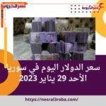 سعر الدولار اليوم في سوريا الأحد 29 يناير 2023.. أنهيار جديد لعملة الليرة