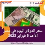 حافظ سعرصرف عملة الدولار الأمريكى اليوم في مصر بكورة الأحد 5 فبراير/شباط 2023، وفقا لبيانات البنك المركزي ولدى البنوك الحكومية والخاصة وفي شركات الصرافة.