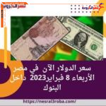 سعر الدولار الآن في مصر الأربعاء 8 فبراير2023 داخل البنوك