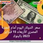 سعر الدولار اليوم أمام الجنيه المصرى الأربعاء 15 فبراير 2023 بالبنوك الحكومية والخاصة بعد آخر ارتفاع