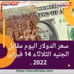 سعر الدولار اليوم مقابل الجنيه الثلاثاء 14 فبراير 2023 ..ارتفاعًا طفيفًا