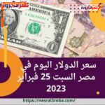 سعر العملة الأمريكية اليوم في مصر السبت 25 فبراير 2023..تراجع جديد للجنيه