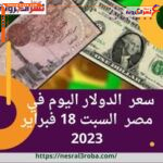 سعر الدولار اليوم في مصر أمام الجنيه السبت 18 فبراير 2023