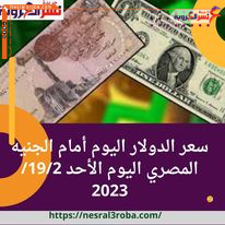 سعر الدولار اليوم أمام الجنيه المصري اليوم الأحد 19/2/ 2023
