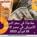 مفاجأة في سعر الدولار الأمريكى في مصر الاثنين 20 فبراير 2023