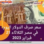 سعر صرف الدولار اليوم في مصر الثلاثاء 21 فبراير 2023..قفزة جديدة